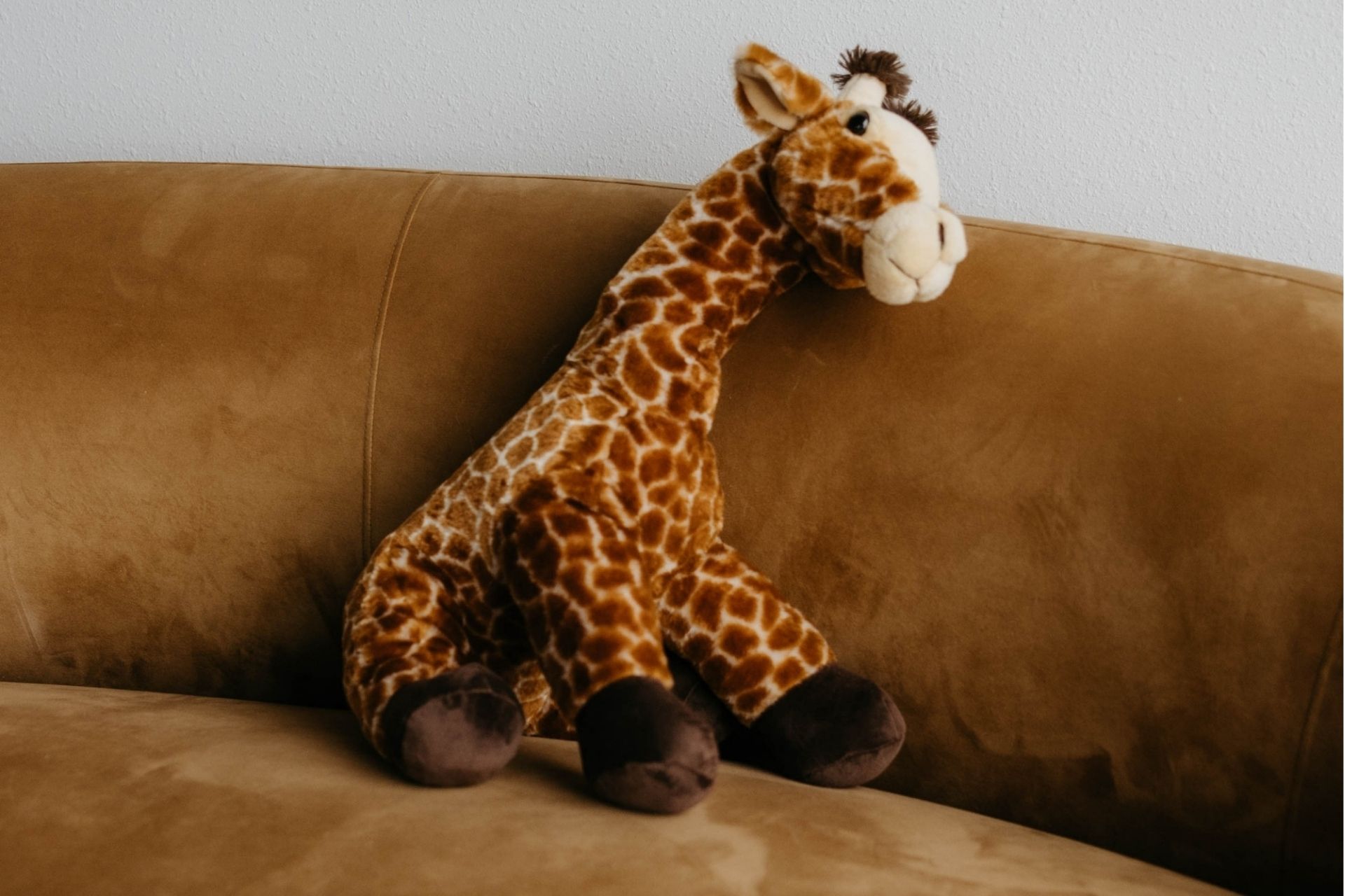 Amazon.com: The Petting Zoo Giraffe Stuffed Animal, Gifts for Kids